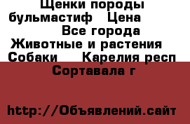 Щенки породы бульмастиф › Цена ­ 25 000 - Все города Животные и растения » Собаки   . Карелия респ.,Сортавала г.